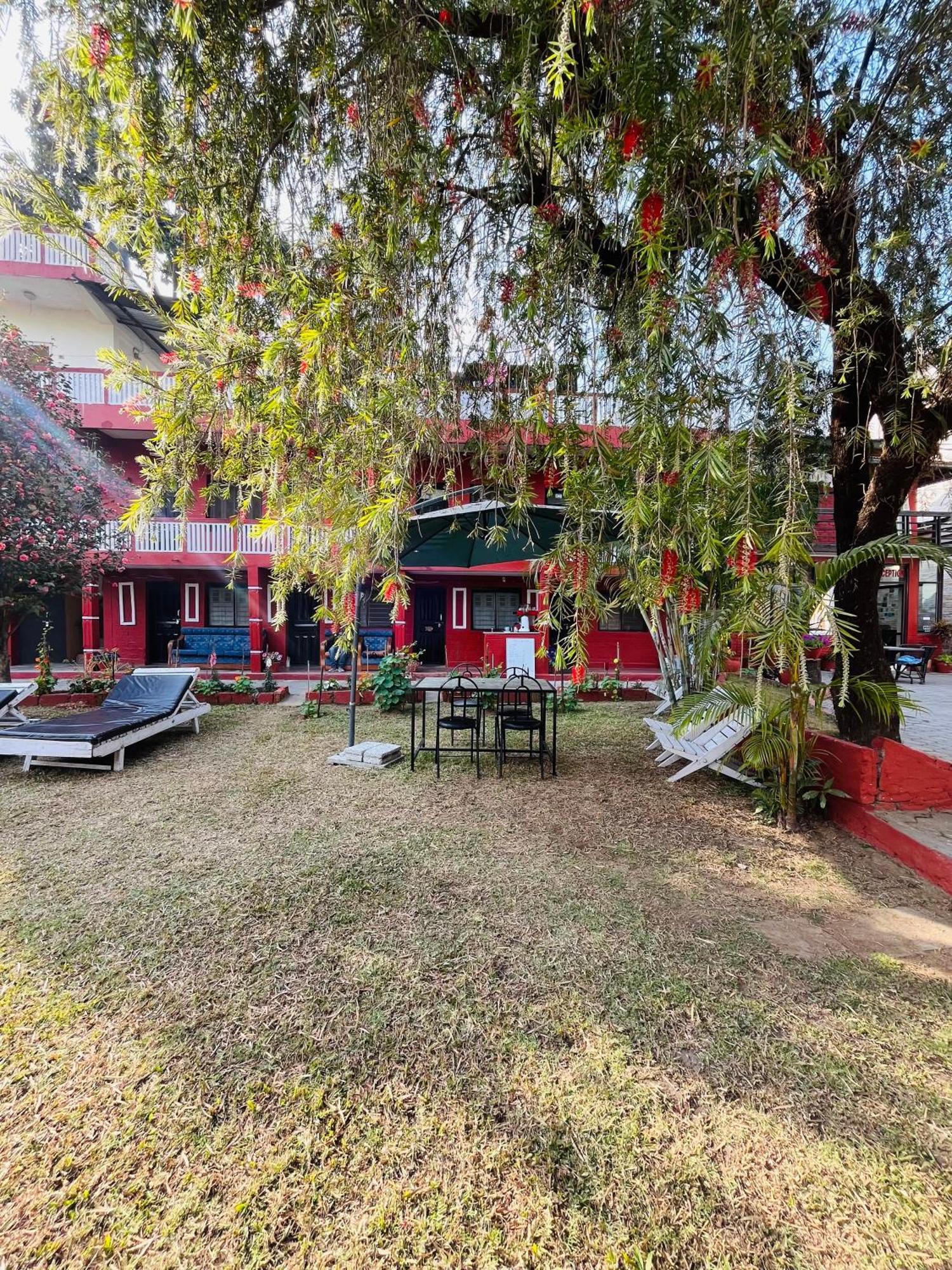 Butterfly Lodge Pokhara Bagian luar foto