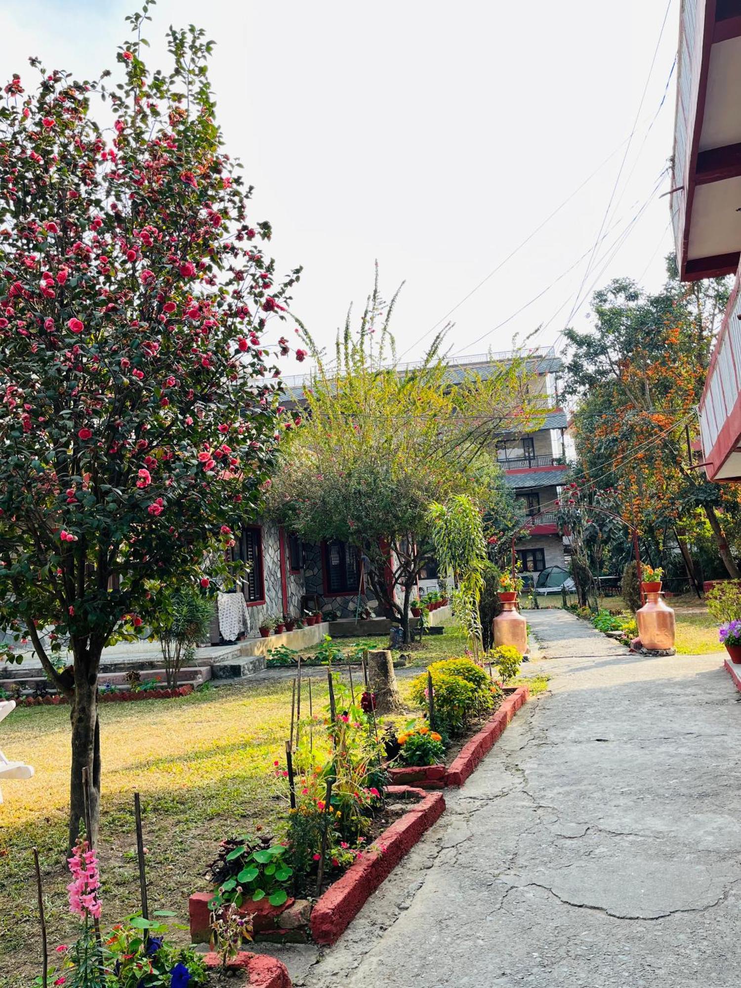 Butterfly Lodge Pokhara Bagian luar foto
